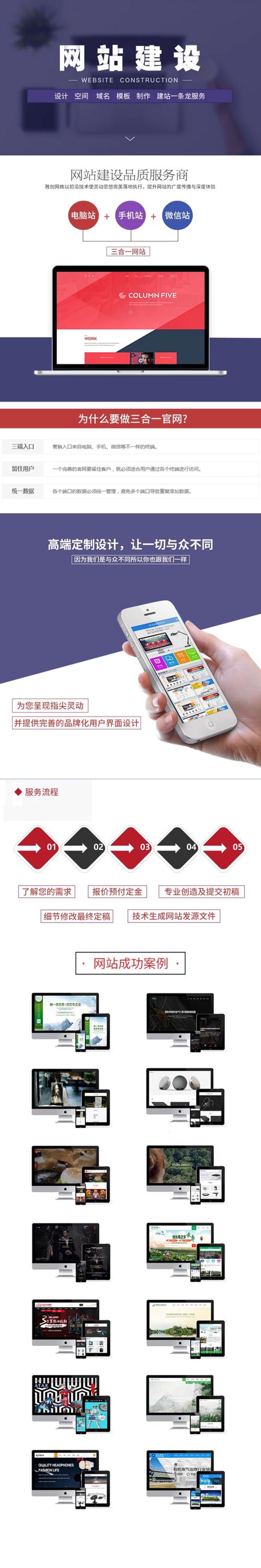 湖南网站建设案例分析：从策划到上线
